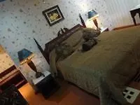 Palette - Madathil Regency Hotell Kondālseri